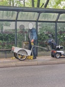 Foto: Entsorgung verdorbener Lebensmittel der Tafel 